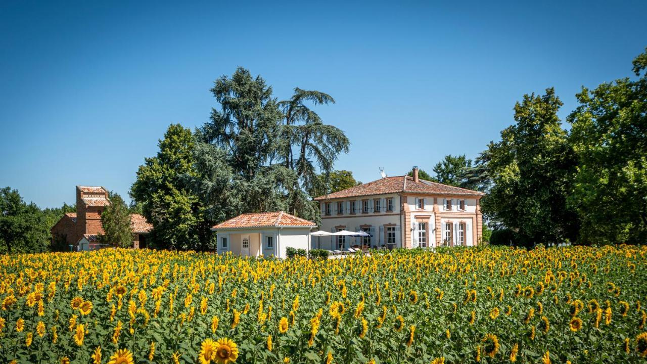 Chambre D'Hotes Et Table D'Hotes Domaine De La Terrasse Sas Et Gite Anda Montauban Lacourt-Saint-Pierre Luaran gambar